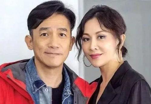 明星妻子,揭秘明星妻子的魅力人生