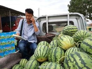 临夏网红浪山吃瓜事件,一场网络狂欢背后的争议与反思